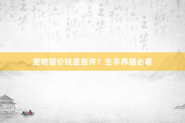 宠物猫价钱是些许？生手养猫必看
